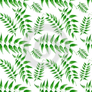 a seamless pattern with green leaves vector design with water color, repeated pattern, fabric print, textile design