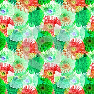 Seamless pattern of green and red gerbera flowers, vivid summer daisy floral ornament, abstract gerber flower texture, wallpaper