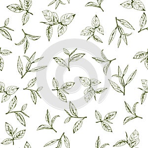 Seamless pattern with green tea, hand-drawn