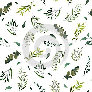 Seamless pattern with green tropical leaves plants eucalyptus