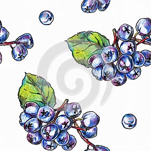 Seamless pattern with hand drawn black chokeberry berries on white textured paper.