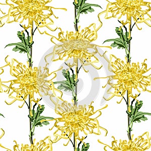 Seamless pattern of hand drawn bright yellow chrysanthemums with green leaves in Japanese graphic style.