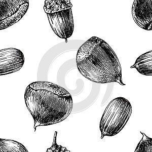 Seamless pattern with hand drawn chestnuts and acorns