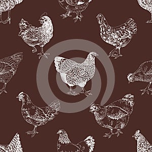 Seamless pattern with hand drawn chickens