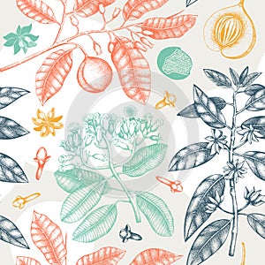 Seamless pattern with hand drawn clove tree, vanilla, anisetree, nutmeg, cinnamon. Vintage leaves, flowers, fruand seeds. Abstract