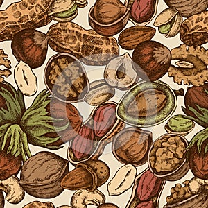 Seamless pattern with hand drawn colored cashew, peanut, pistachio, hazelnut, almond, walnut