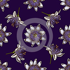 Seamless pattern with hand drawn colored passion flower