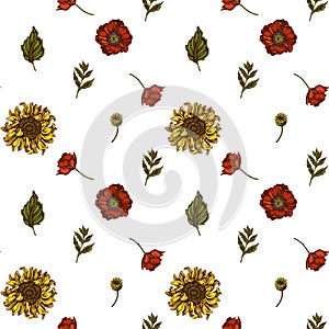 Seamless pattern with hand drawn colored poppy flower, gerbera, sunflower, milkweed, dahlia, veronica