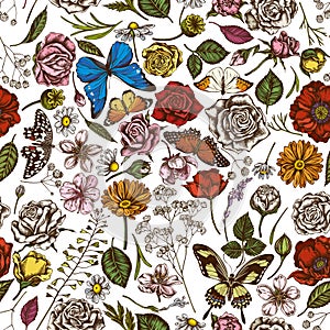 Seamless pattern with hand drawn colored shepherd`s purse, heather, iris japonica, sakura, gypsophila, chamomile, almond