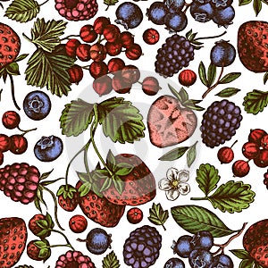 Seamless pattern with hand drawn colored strawberry, blueberry, red currant, raspberry, blackberry
