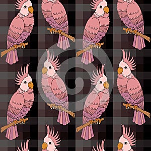 Seamless pattern, hand drawn colorful pink parrots on a dark checkered background. Print, wallpaper, bedroom decor