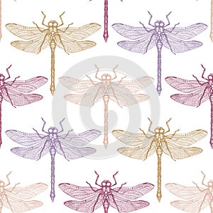 Seamless pattern with hand drawn dargonfly. Vector insects sketch collection. Vinatge spring background. Pastel colored