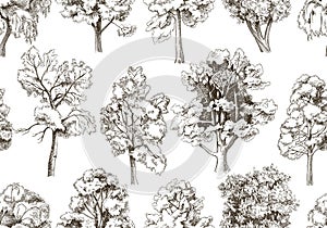 Seamless pattern with hand drawn deciduous trees