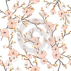 Seamless pattern with hand drawn decorative cherry blossom flowers,