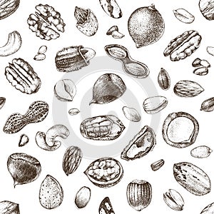Seamless pattern with hand drawn edible nuts