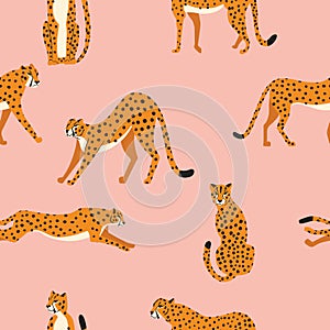 Seamless pattern with hand drawn exotic big cat cheetahs, stretching, running, sitting and walking on pink background