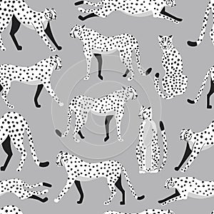 Seamless pattern with hand drawn exotic big cat white cheetahs, on light gray background