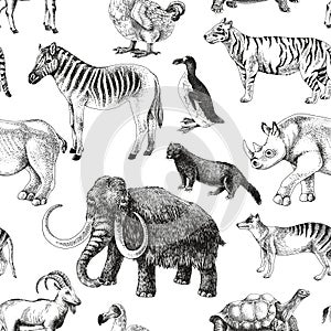 Seamless pattern with hand drawn extinct animals