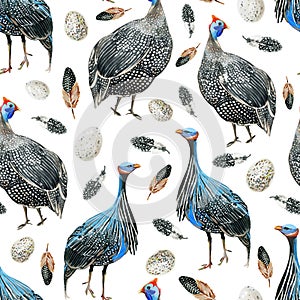 Seamless pattern with hand-drawn guineafowls, spotted feathers and spotted eggs