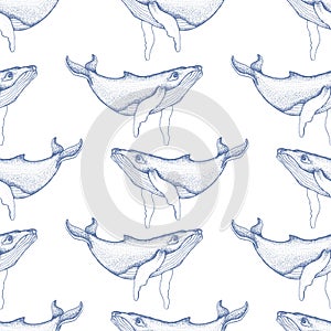 Seamless pattern with Hand drawn humpback whales. Vector with animal underwater. Illustration for wallpaper, web page background,