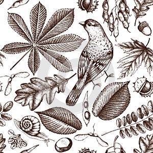 Seamless pattern with hand drawn leaves and seeds sketch. Vector autumn background. Vintage bird illustration.