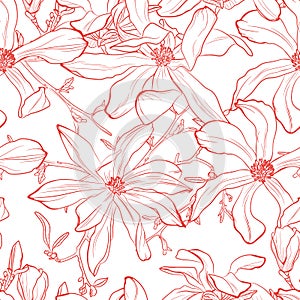 Seamless pattern with hand drawn line red magnolia flower.
