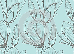 Seamless pattern with hand drawn magnolia flower. Vector illustration. Botanical pattern for textiles and wallpapers