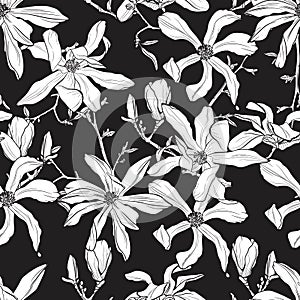 Seamless pattern with hand drawn magnolia flower. Vector illustration.