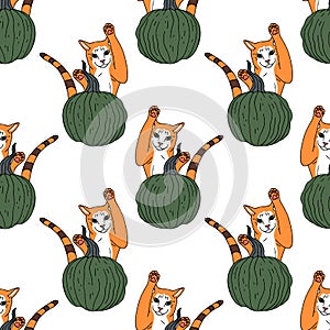 Seamless pattern with hand drawn orange pumpkins. White background