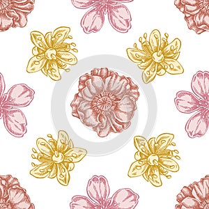 Seamless pattern with hand drawn pastel almond, poppy flower, tilia cordata