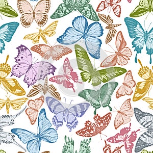 Seamless pattern with hand drawn pastel jungle queens, plain tiger, rajah brooke s birdwing, papilio torquatus