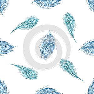Seamless pattern with hand drawn pastel peacock feathers