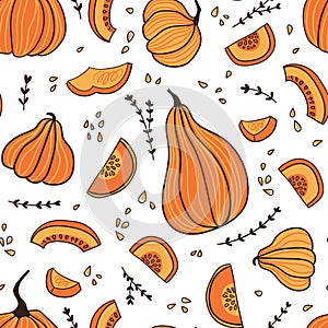 Seamless pattern with hand drawn while pumpkins  and pieces. Hand drawn design for Halloween or Thankful day. Vector vegetable ill