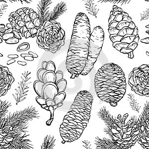 Seamless pattern with Hand drawn rustic Natural forest branches and cones. Black and white