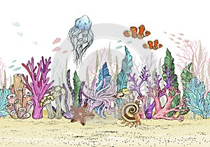 Seamless pattern with Hand drawn sea anemones coral reef, oceanic animal.