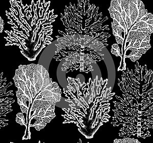 Seamless pattern with hand drawn sea fans corals - gorgonia sketch. Vector background with underwater natural elements. Vintage se