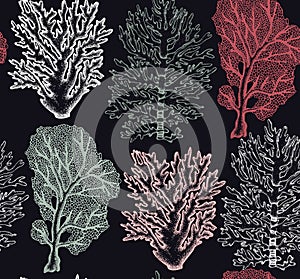 Seamless pattern with hand drawn sea fans corals - gorgonia sketch. Vector background with underwater natural elements. Vintage se