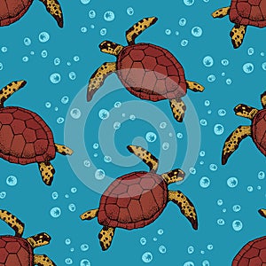 Seamless pattern with Hand drawn sea turtles. Vector with animal underwater. Illustration for wallpaper, web page background,