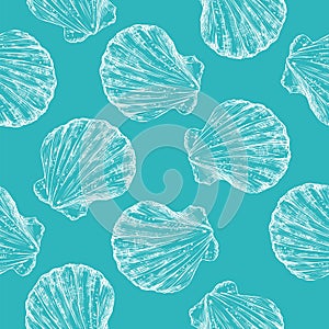 Seamless pattern hand drawn seashells turquoise vector illustration