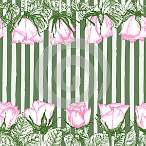 Seamless pattern Hand drawn sketch pink roses Detailed vintage botanical illuatration. Floral frame. Black silhouette isollated on
