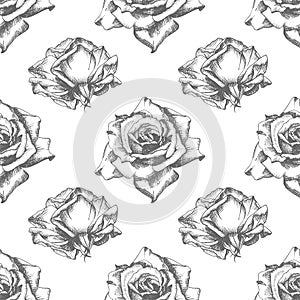 Seamless pattern Hand drawn sketch roses Detailed vintage botanical illuatration. Floral frame. Black silhouette