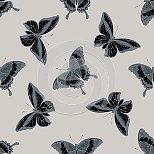 Seamless pattern with hand drawn stylized papilio palinurus, ornithoptera goliath