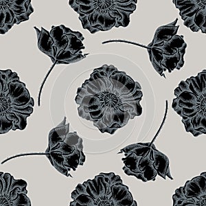 Seamless pattern with hand drawn stylized poppy flower