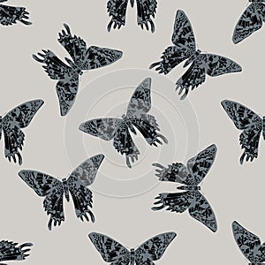 Seamless pattern with hand drawn stylized urania rhipheus