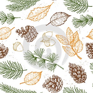 Seamless pattern. Hand drawn vector illustrations - Forest Autumn collection. Spruce branches, acorns, pine cones, fall leaves. D