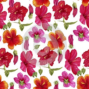 Seamless pattern of hand-drawn watercolor illustrations of Hawaiian hibiscus flowers. Bright tropical flowers on a white