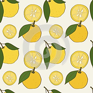 Seamless pattern with hand drawn yuzu fruits with leaves
