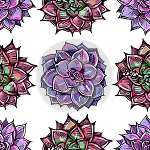 Seamless pattern with handdrawn succulents on white background