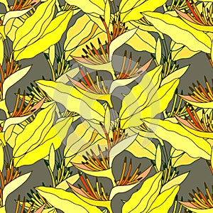 Seamless pattern of Heliconium plant. EPS10 vector illustration. Hand drawing.