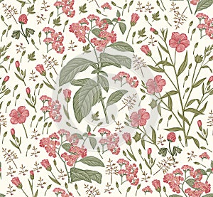 Seamless pattern Heliotrope Flax isolated flowers Vintage background Drawing engraving Vector illustration